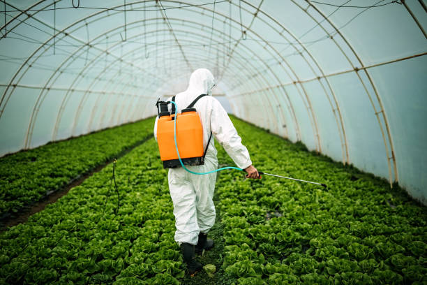 Best Pest Control Near Me  in La Grange, IL